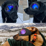 PETLESO Large Dog Goggles Pet Eyes Protection for Medium to Large Breed, Windproof Snowproof UVproof Dog Sunglasses for Outdoor Hiking/Cycling/Driving, Soft Frame Adjustable Straps, Clear Blue Lens