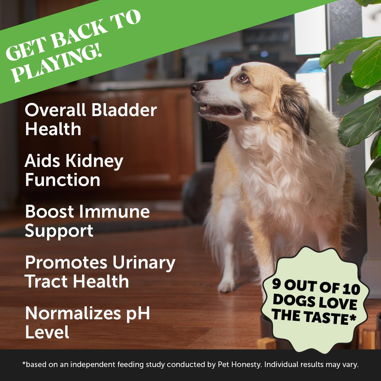 Cranberry Bladder Health for Dogs – Contains Active Ingredients - Cranberry & D-Mannose to Help Support Dog Urinary Tract Health, Dog Bladder Support, & Kidney Support for Dogs (Bacon)