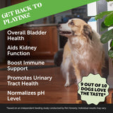 Cranberry Bladder Health for Dogs – Contains Active Ingredients - Cranberry & D-Mannose to Help Support Dog Urinary Tract Health, Dog Bladder Support, & Kidney Support for Dogs (Bacon)