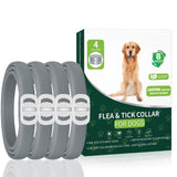 Flea and Tick Prevention for Dogs, 4 Pack Flea Collar for Dogs, Dog Flea and Tick Treatment, 32 Months Protection, Waterproof, Adjustable Collar for Dog, One Size Fits All for All Breeds, Grey