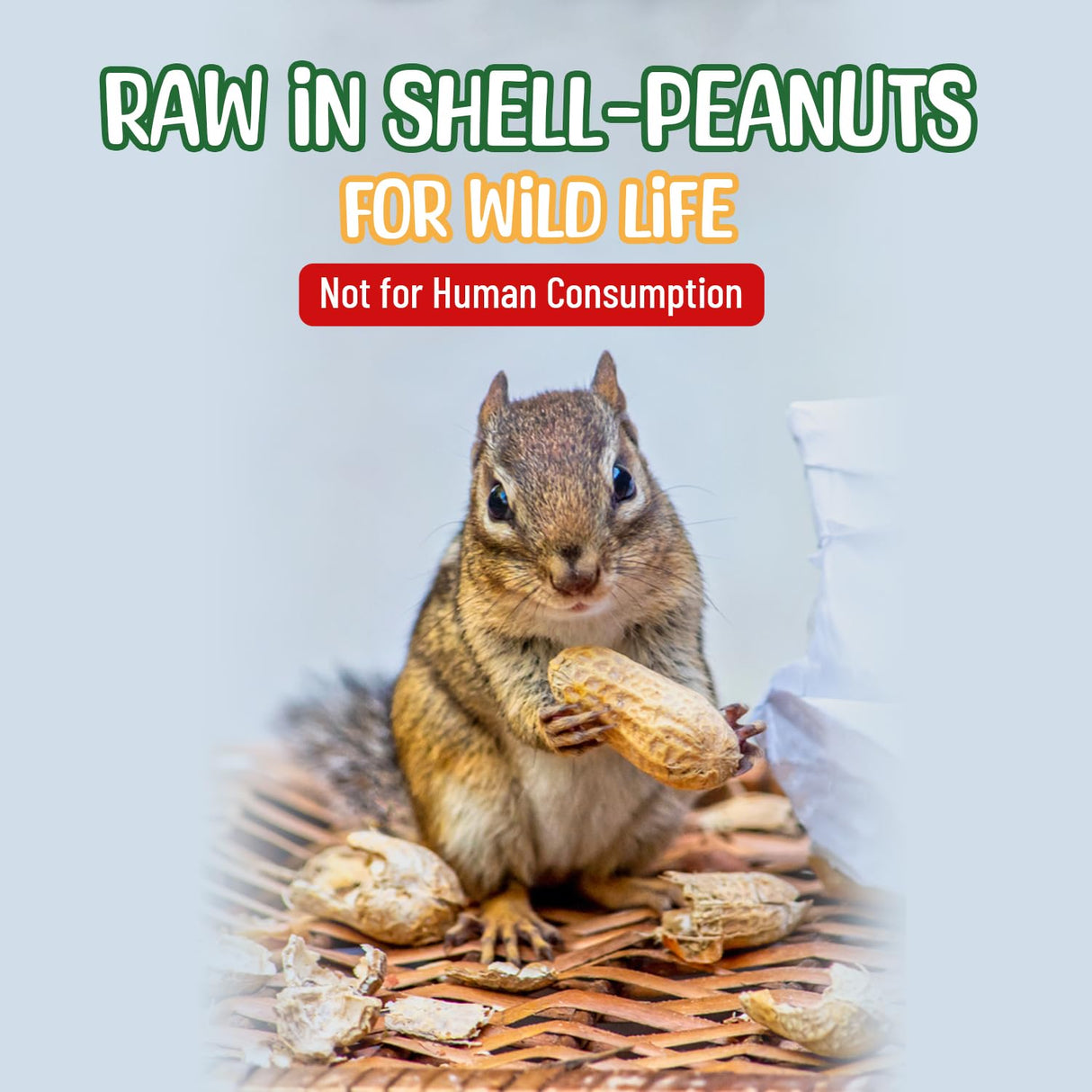 Sneaky Mango Premium Quality Raw Peanuts in Shell - 8 Pounds – All-Natural Food for Squirrels, Deer, Birds, and Other Wildlife Animals – Grown in The USA for Healthy Nutrition