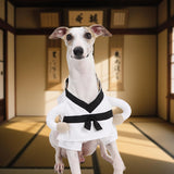 ETIAL Martial Arts Pet Costume for Halloween - Karate Uniform with Adjustable Self-Adhesive Strap for Dogs & Cats - Funny Animal Costume Easy On/Off M