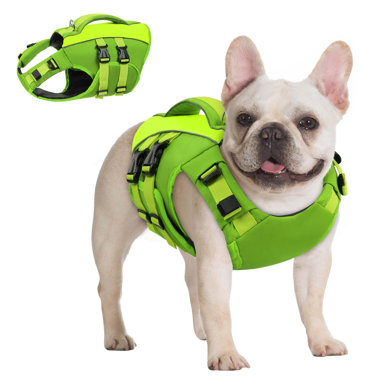 Queenmore Small Dog Life Jacket,Small Dog Life Vest for Swimming,Adjustable Reflective Dogs Swimming Vest,High Buoyancy Dogs Lifesaver,Pet Life Preserver(Green,S)