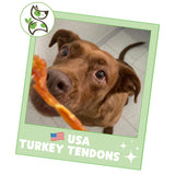 Nature Gnaws USA Turkey Tendons for Dogs (4oz) - Delicious Grain Free Reward Snack for Small, Medium & Large Breeds - Premium Natural Dog Chew Treats