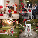 ADOGGYGO Valentine Dog Tuxedo, Red Black Heart Pet Bowtie Collar, Adjustable Valentine Bandana for Extra Large Dogs (XL)
