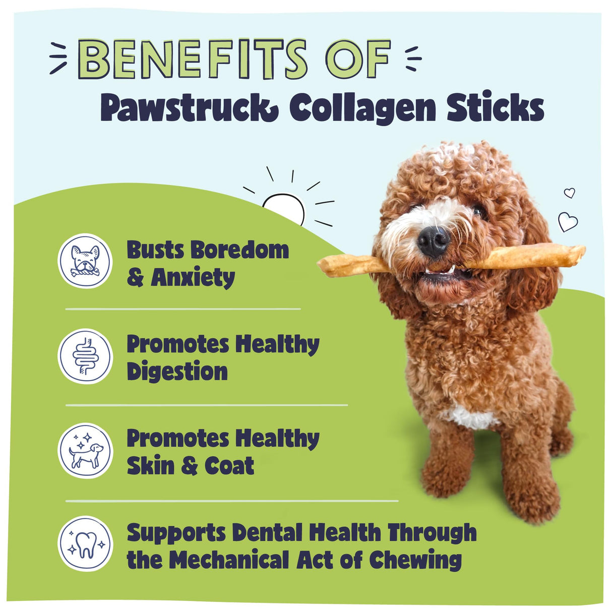 Pawstruck Natural Large 12" Beef Collagen Sticks for Dogs – Long-Lasting Rawhide Alternative, High Protein Treats with Chondroitin & Glucosamine – 5 Pack
