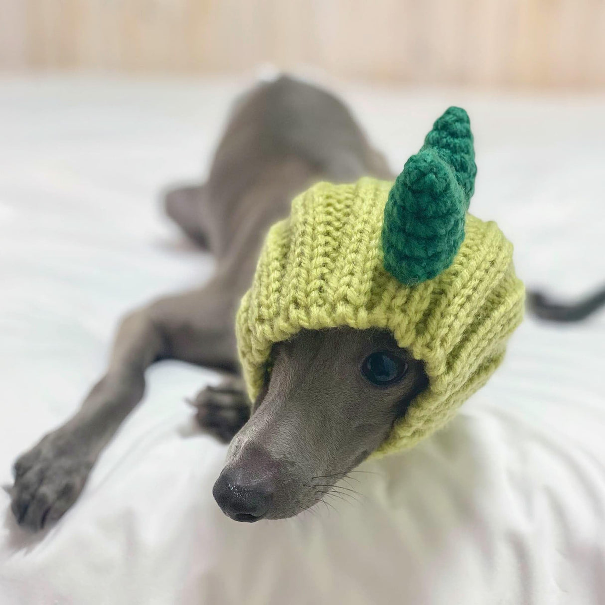 Zoo Snoods Dinosaur Costume - Warm Knit Dog Snood Wrap for Pets, Neck Ear Cover Protection, Halloween Winter (Medium)