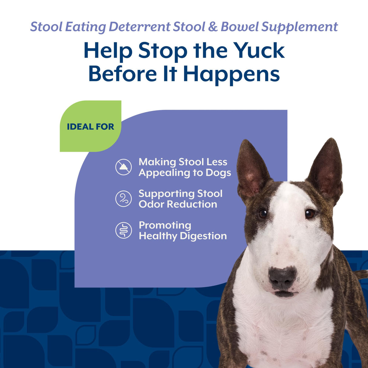 NaturVet – Coprophagia Stool Eating Deterrent – Deters Dogs from Consuming Stool – No Poop Eating for Dogs - Enhanced with Breath Aid Freshener, Enzymes & Probiotics – 130 Soft Chews