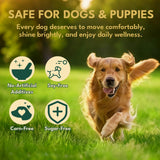 Liquid Collagen for Dogs, Natural Dog Collagen for Skin & Coat Support, Immune Support, Joint & Mobility Care with MSM, Middle-Aged and Older Dogs (Bacon Flavor - 60ml 2 Pack)