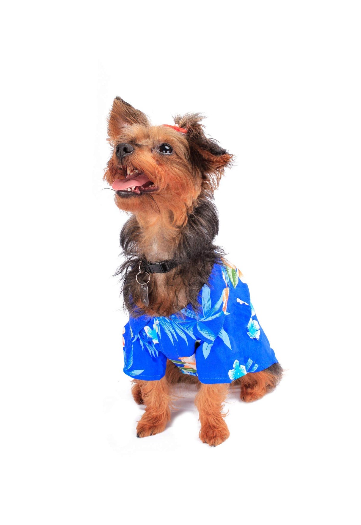 Matchable Family Hawaiian Luau Shirts, Hibiscus Blue, Dog, Medium