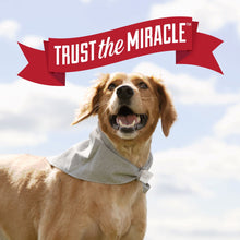 Load image into Gallery viewer, Nature's Miracle Urine Destroyer Plus for Dogs, Enzymatic Formula for Severe Dog Urine Stains, 1 gal
