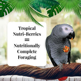 LAFEBER'S Tropical Fruit Nutri-Berries Pet Bird Food, Made with Non-GMO and Human-Grade Ingredients, for Parrots, 3 lb