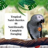 LAFEBER'S Tropical Fruit Nutri-Berries Pet Bird Food, Made with Non-GMO and Human-Grade Ingredients, for Parrots, 3 lb