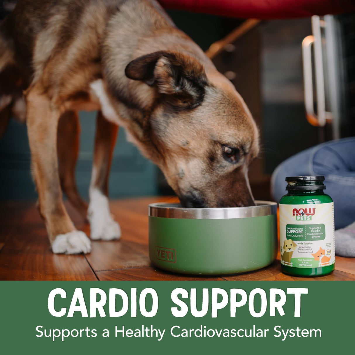 NOW Pet Health, Cardiovascular Support Supplement, Formulated for Cats & Dogs, NASC Certified, Powder, 4.5-Ounce