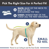 Spark Paws Varsity Dog Hoodie – Premium Dog Sweater for Small, Medium, and Large Dogs | Warm Clothes for Pets, Winter Jacket Alternative - Red - M