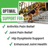 Pawsential Glucosamine for Dogs - Joints Health Treats w/Omega Fish Oil - Natural Joint Pain Relief - Canine Hip and Joint Supplement w/Chondroitin + MSM + Turmeric + Calcium - 120 Beef Chews