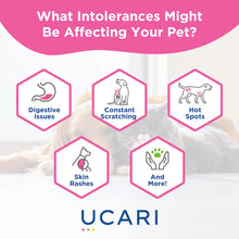 Load image into Gallery viewer, UCARI Pet Sensitivity Test | Screens for 1000+ Intolerances | Food &amp; Environment Analysis | Painless Home Test Hair Sample Method | Results in 48 Hours | Cats &amp; Dogs
