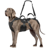 Dog Lift Harness, Dog Support & Recovery Sling for Full-Body & Hind/Front Leg – Pee-Able Design for Large/Medium Dogs – All-in-One Ideal Assistance for Senior, Disabled, Arthritic & ACL Canines (XXL)
