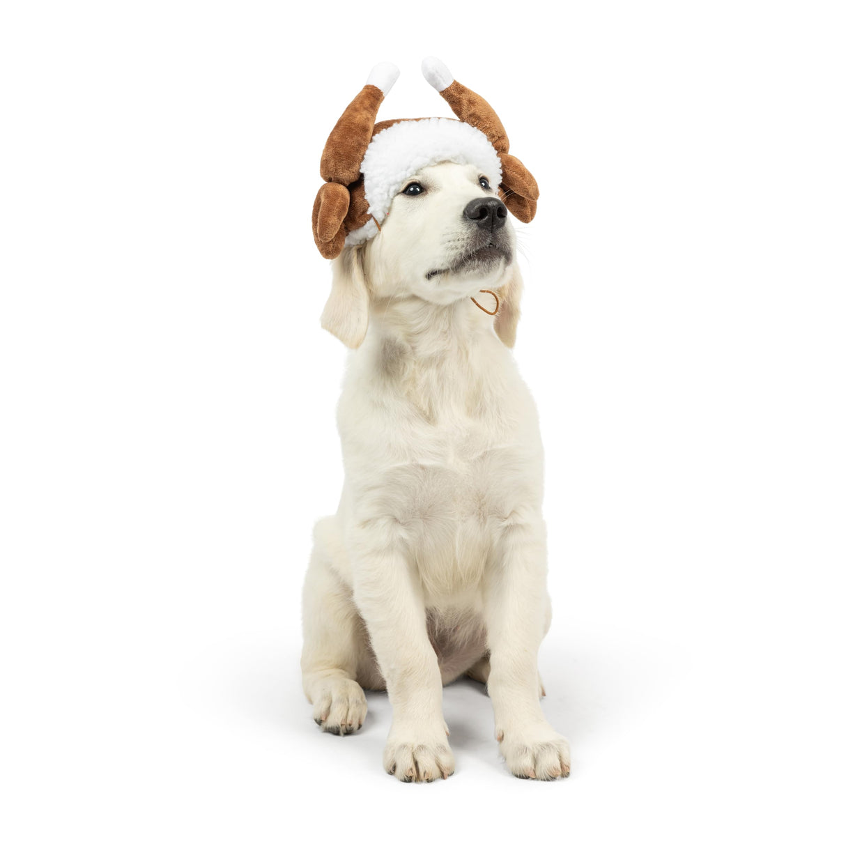 Huxley & Kent Pet Hat | Turkey Tester (Medium) | Fun Thanksgiving Holiday Hat for Dogs/Cats | Cute, Comfortable and Fun | SnugFit Strings for Best Fit