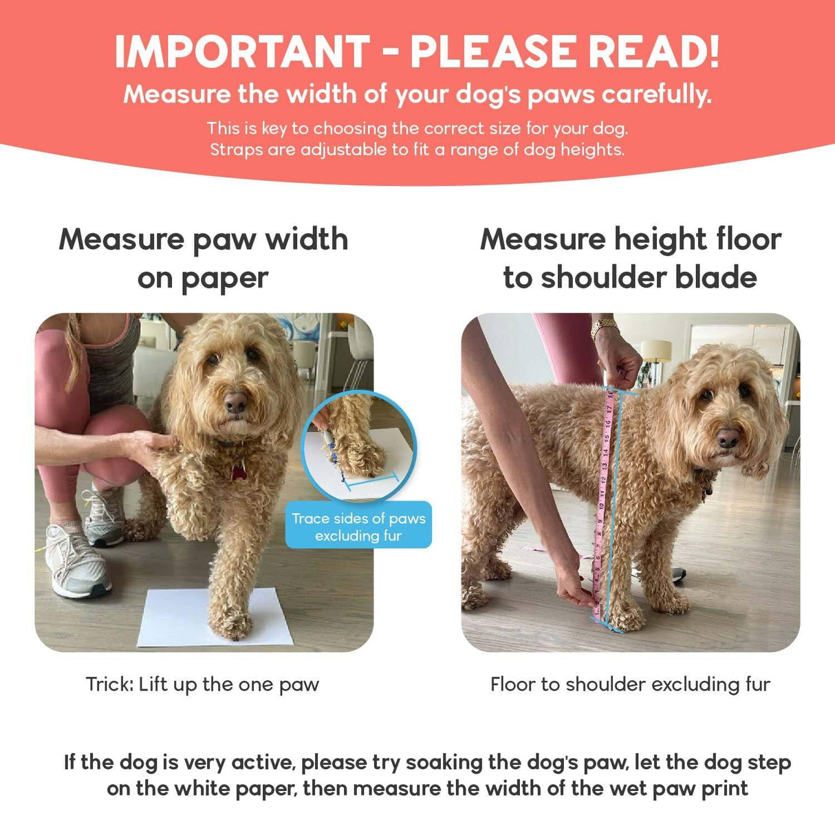 WALKEE PAWS Stay-on, Non-Slip Dog Socks to Prevent Licking Paws and Slipping on Hardwood Floors. Seen on Shark Tank, Never Lose a Dog Sock Again (X-Small) Grippy Socks with All Around Grip