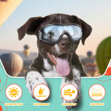 LESYPET Dog Helmet and Goggles, Large Dog UV Protection Pet Sunglasses Motorcycle Helmet, Adjustable, Riding and Driving, Black