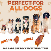 Load image into Gallery viewer, BRUTUS &amp; BARNABY Pig Ear Halves for Dogs, 15 Ct. – All-Natural Single Ingredient Dog Chews, Slow Cooked &amp; Fully Digestible Rawhide Alternative
