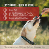 MycoDog Vitality - Mushroom & Adaptogen Supplement for Dogs - Immune Health, Senior Dog, & Daily Wellness Support - Turkey Tail Mushroom for Dogs, Reishi, Chaga