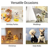 Dog Tuxedo Suit, Formal Dog Shirt Costume Wedding Attire with Black Bow Tie, Pet Outfit for Small Dogs Cats (Jacquard&Black, 4X-Large(55.1-74.9lb))