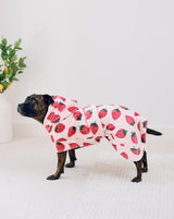 Darren & Phillip Calming Dog Robe for All Breeds - Ultra-Soft Strawberry Dog Robe with Adjustable Belly Strap - Perfectly Matches Women’s Plush Robe - Medium