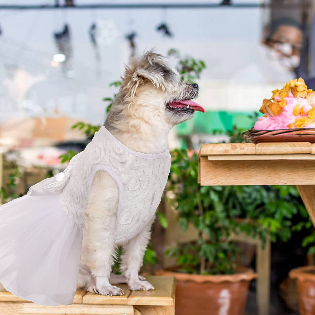 IDOMIK Dog Wedding Dress Puppy Bowknot Princess Skirt, Pet Bride Pure White Lace Tutu Formal Dress Flower Bubble Skirt Tulle Ruffle Sundress Vest Shirts,Birthday Party Costume for Small Dog Apparel XS