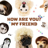 FineCheer 6 Pcs Funny Dog Wig for Cat and Dog Role Playing Wigs with Hairpin Glasses and Adjustable Elastic Band Pet Wigs and Pet Costumes for Small, Medium & Large Pets Accessories(Classic)