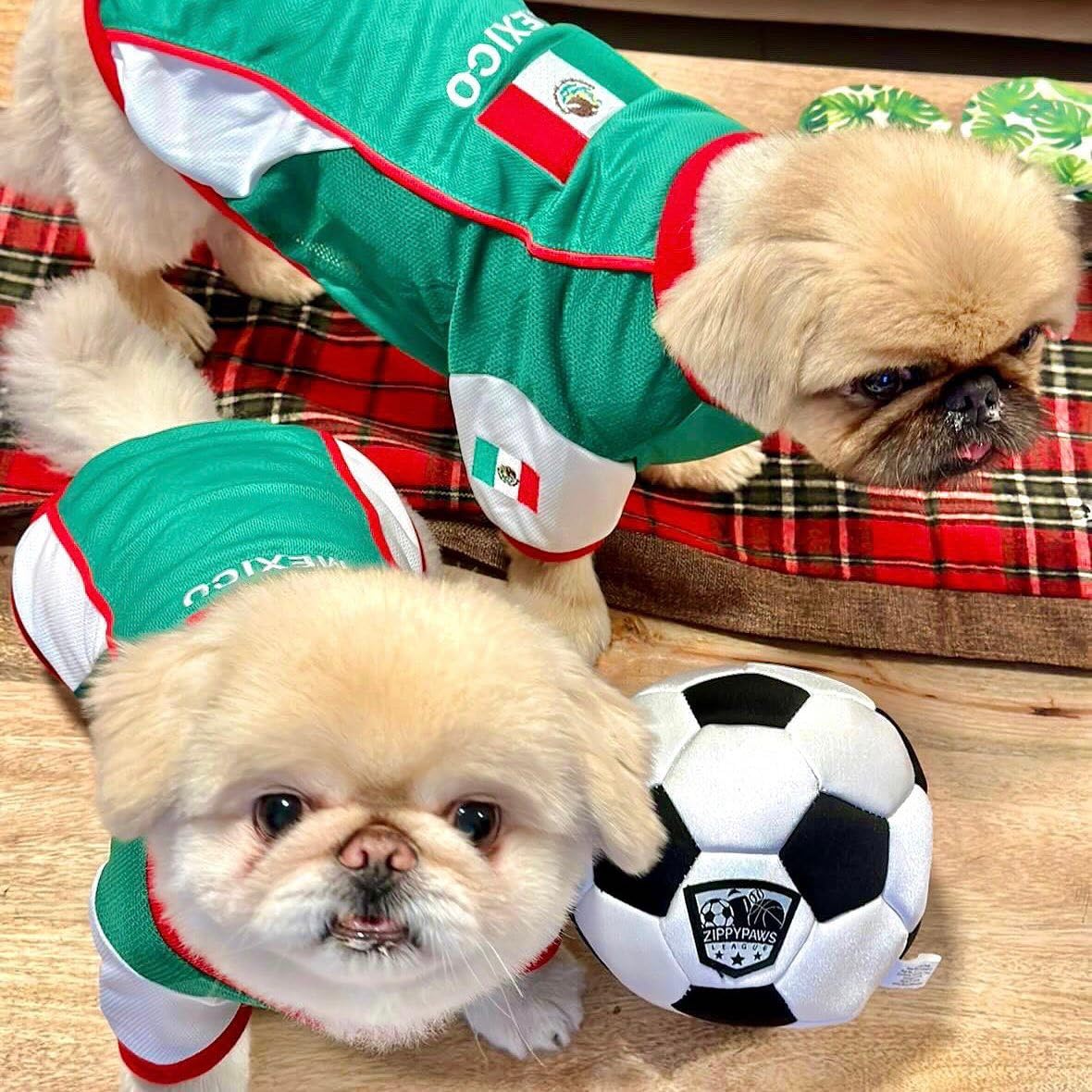Parisian Dog Mexico Jersey - Breathable Mesh Puppy Football Jersey - Lightweight Stretch Sporty Dog Mexican Outfit - Summer Shirts for Large Dogs - Soccer Jersey for Dogs - Sportswear Pet Clothes