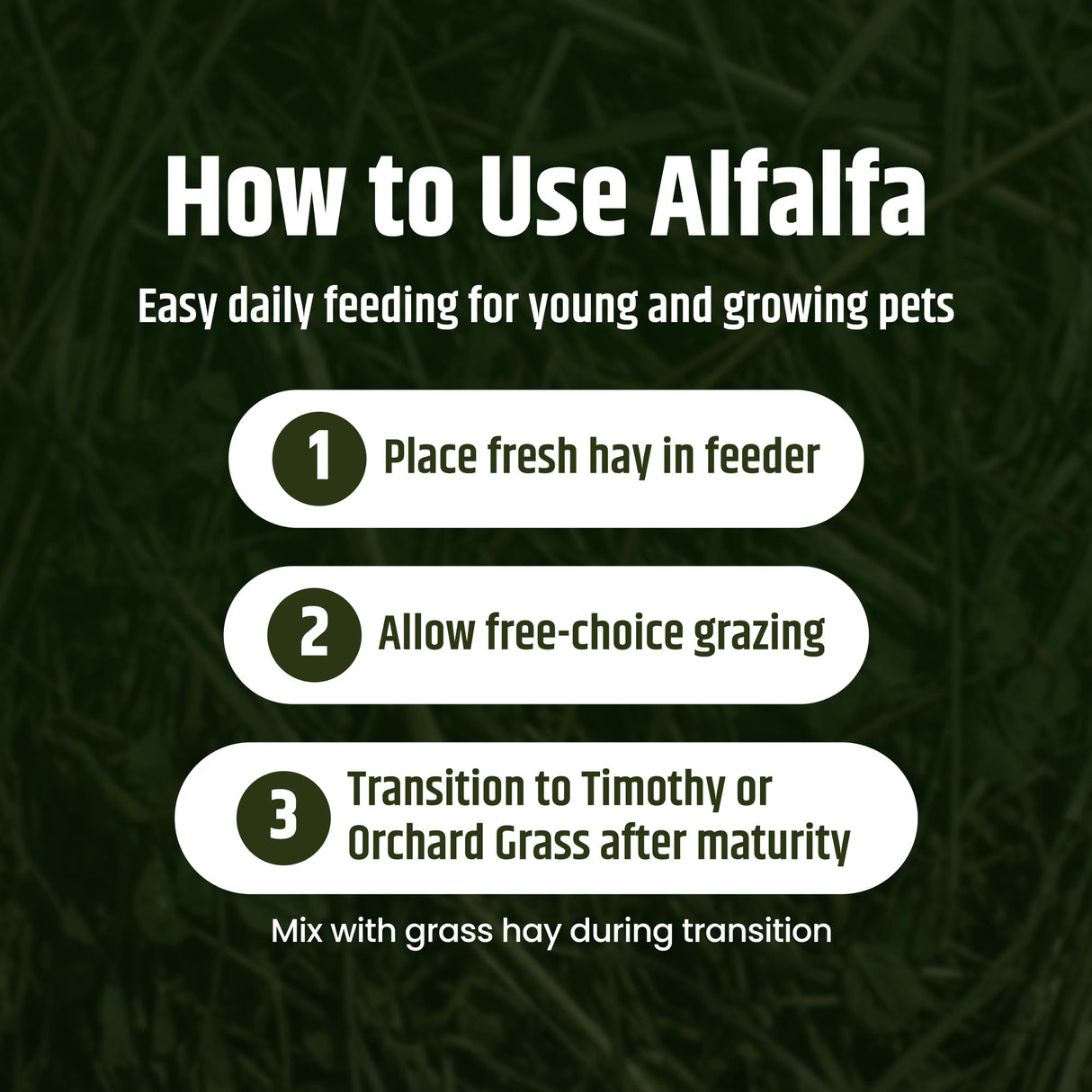 High Desert Alfalfa Hay, Protein Rich Soft Leaf Food for Young Growing Animals, Natural Rabbit Food and Guinea Pig Hay, Supports Digestive Health, Small Pet Supplies, Fresh Hand Packed 5 Lb Box