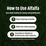 High Desert Alfalfa Hay, Protein Rich Soft Leaf Food for Young Growing Animals, Natural Rabbit Food and Guinea Pig Hay, Supports Digestive Health, Small Pet Supplies, Fresh Hand Packed 5 Lb Box