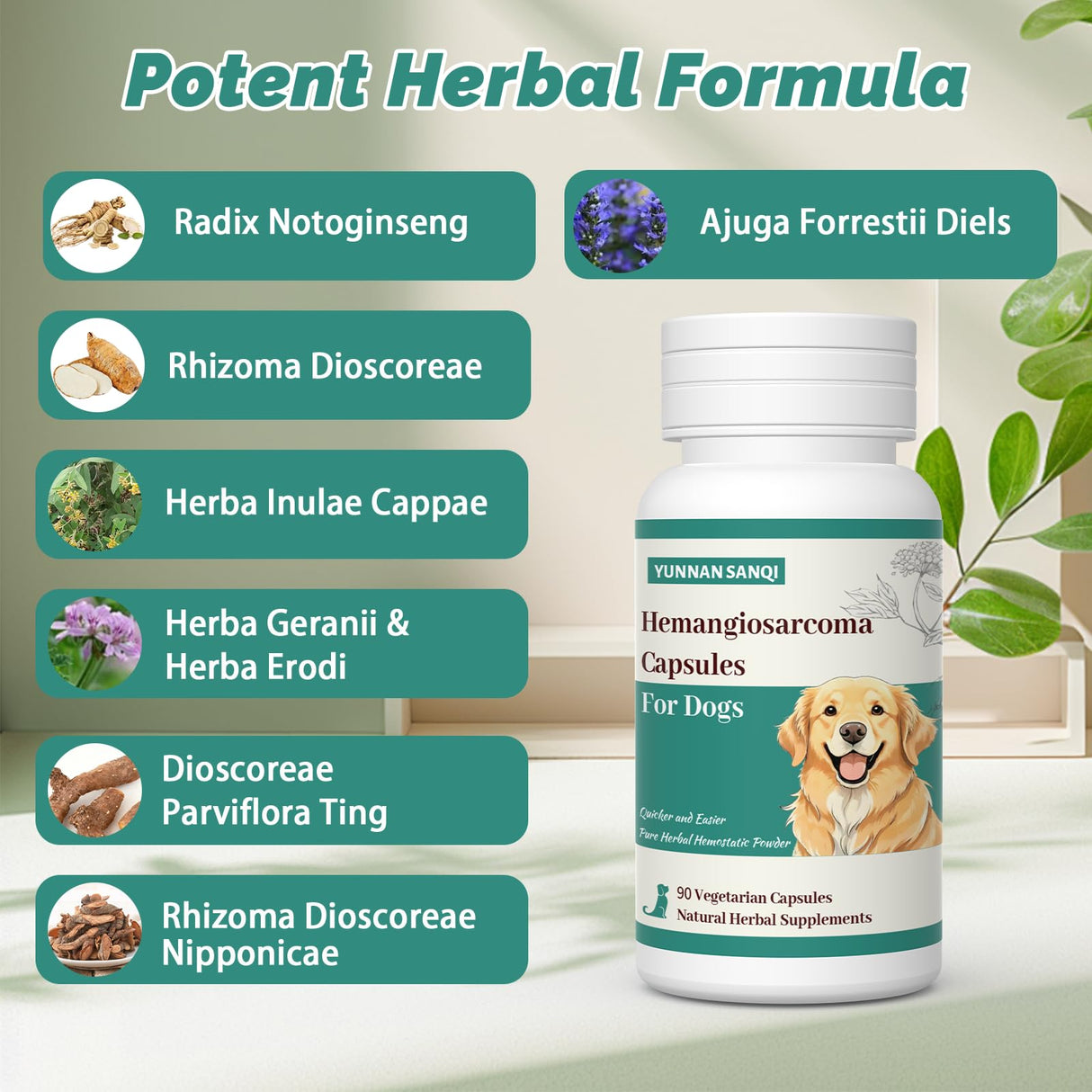 Yunnan Sanqi Blood Support Capsules for Dogs - 90 Capsules for Hemangiosarcoma, Hemoabdomen, Pericardial Effusion, Cancer Bleeding, Severe Bruising, Ulcer Bleeding & Bloody Stools