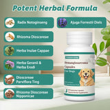 Yunnan Sanqi Blood Support Capsules for Dogs - 90 Capsules for Hemangiosarcoma, Hemoabdomen, Pericardial Effusion, Cancer Bleeding, Severe Bruising, Ulcer Bleeding & Bloody Stools