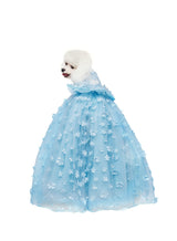 Dog Lace Gold Glitter Dress Princess Tutu Skirt for Small and Medium Girl Dogs Pet Birthday Wedding Bride Party Photography Christmas Halloween (Blue,X-Large)