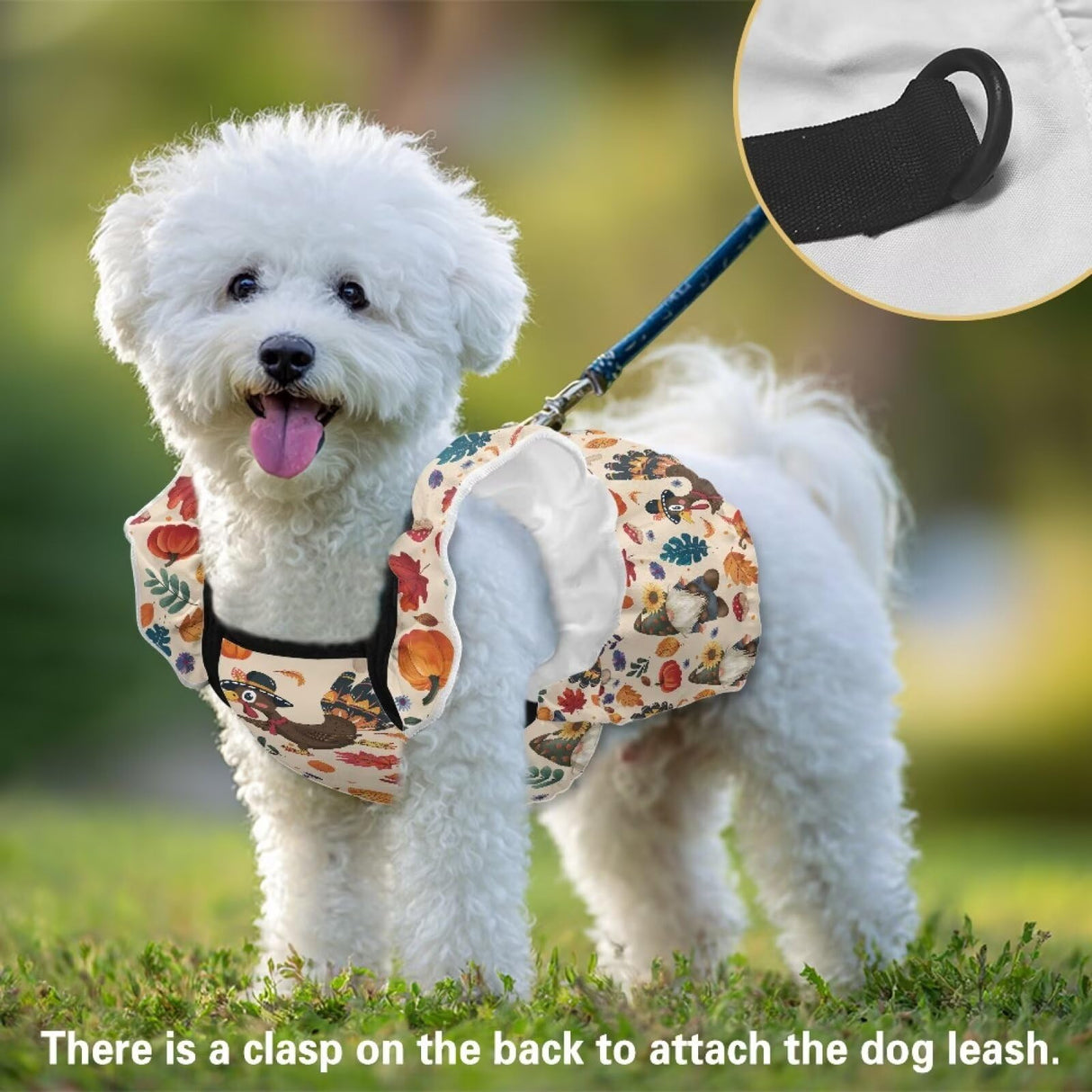 Wiryuouvt Autumn Turkey Gnome Dog Thanksgiving Outfit Fall Dog Dresses for Small Dogs Girl with Leash Ring & Sleeve Ruffles & Breathable, Light Weight Puppy Princess Dress Cat Pet Clothes Apparel