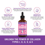 Premium Collagen for Dogs - Liquid Support for Joints, Skin, Coat, Bone, Immune System & HIPS - Collagen Supplement - Made in USA - 4oz