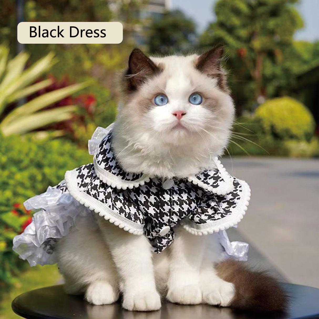 Dog Clothes Dog Dresses, Cute Puppy Dresses Pet Cat Princess Bowknot Clothes Cute Puppy Summer Outfits for Medium and Small Dogs Cat Girls (Black T-Shirt, X-Small)