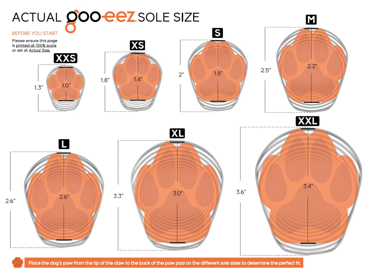 Goo-eez Lites - Black (S)