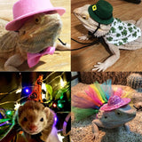 18Pcs Bearded Dragon Festival Costumes, Lizard Hats Clothes at Birthday Halloween Christmas, Festive Costume Accessories Set for Gecko Chameleon Iguana Hamster Ferret Reptile (Boy Set/18 Pcs)