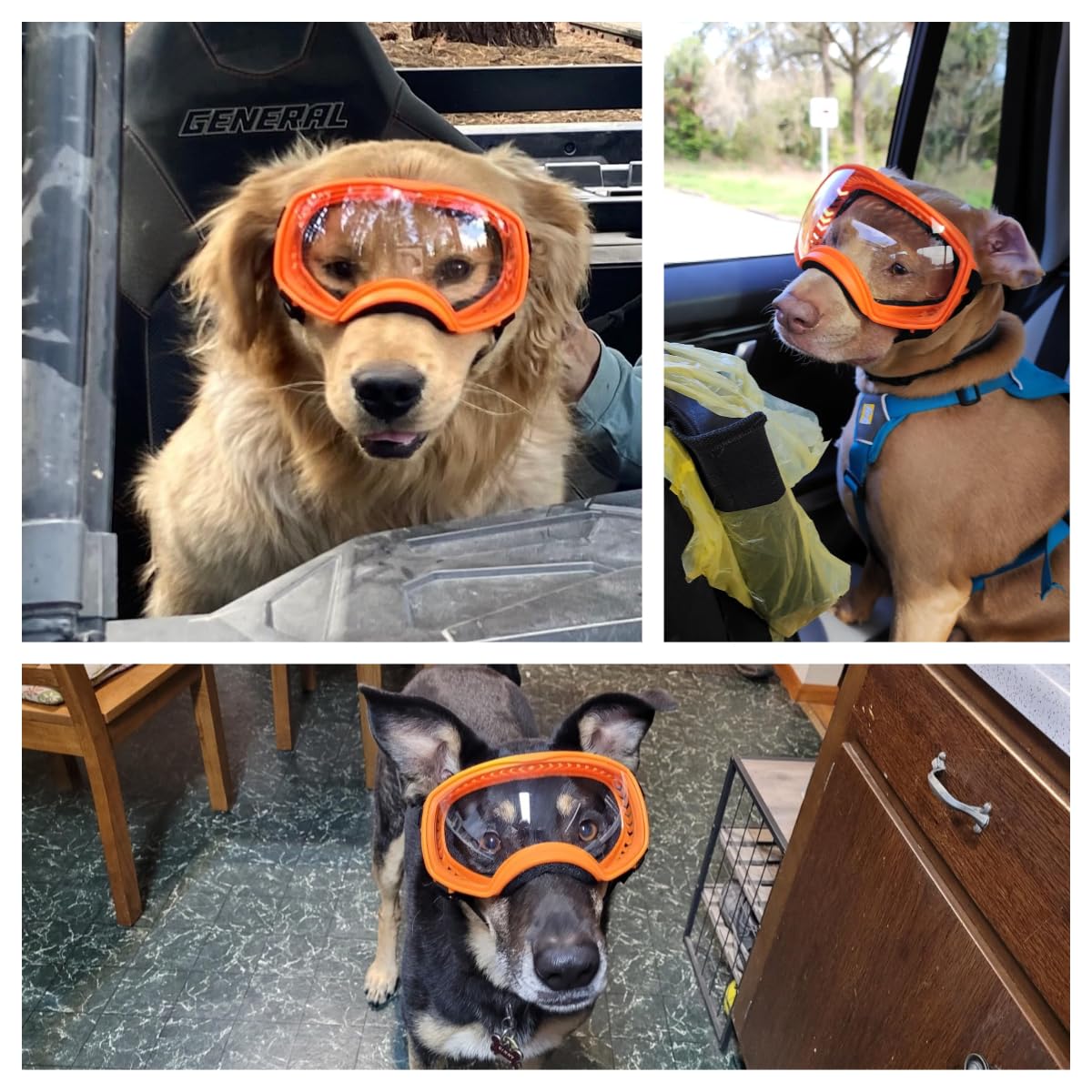 Billionchains Dog Sunglasses UV Protection Clear Dog Goggles Windproof Glasses with Elastic Straps for Medium-Large Breed, Orange Frame + Clear Lens