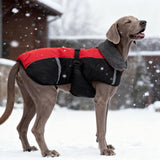 SCENEREAL Warm Dog Coat - Waterproof Dog Jacket for Large Dogs, Fleece Vest with Adjustable Buckle & Leash Hole, Windproof Reflective Cold Weather Coats for Small Medium Large Dogs, XL