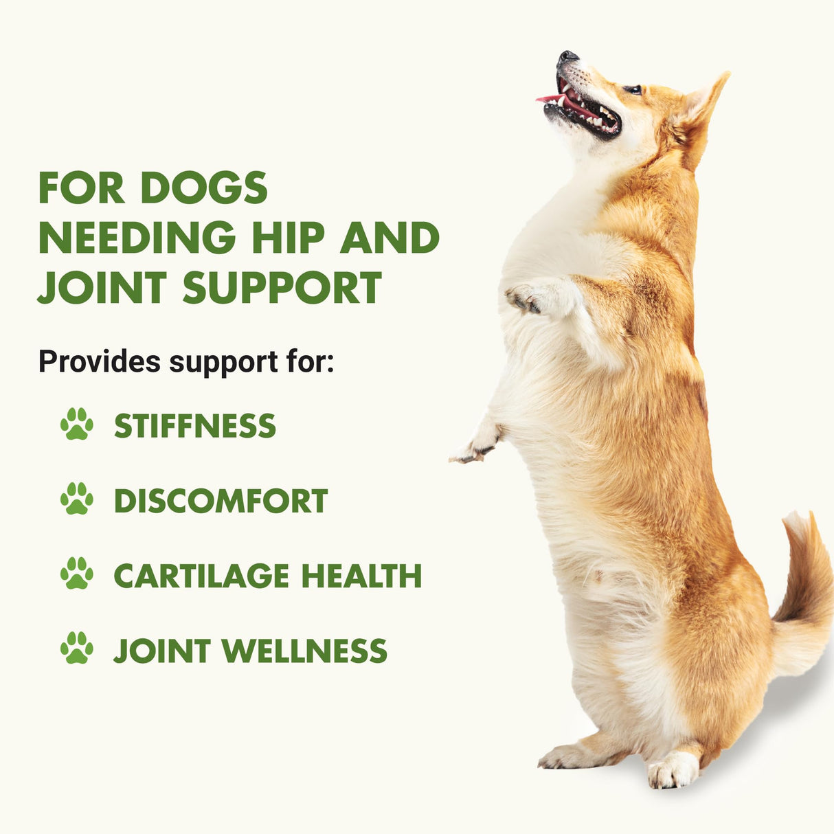 LIQUID-VET by Cool PET Holistics Dog Hip & Joint Advanced Supplement (Pot Roast, 32 oz)
