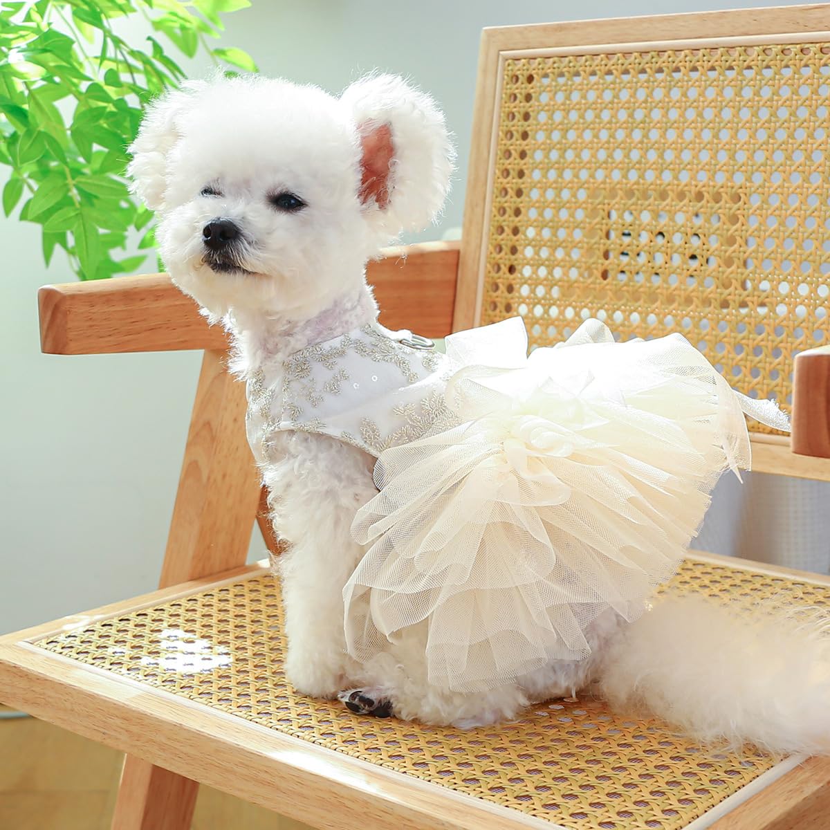Small Dog Clothes for Puppy Dresses Pet Clothe Tutu Dress for Girls Puppy Clothes for Medium Dog Outfits M