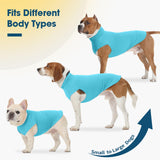 ROZKITCH 2 Pack Cooling Dog Shirt, Breathable Sun Protection T-Shirts, Pet Summer Vest, Quick Dry Dog Summer Clothes Beach Hiking Wailking for Large Dogs Boy Girl Orange&Blue 2XL