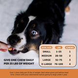 Pet Honesty Hip & Joint Health Max Strength – Dog Joint Support Chews with Glucosamine Chondroitin & Omega-3s – Joint Supplement for Dogs to Support Mobility, Flexibility & Comfort – Bacon (90 ct)