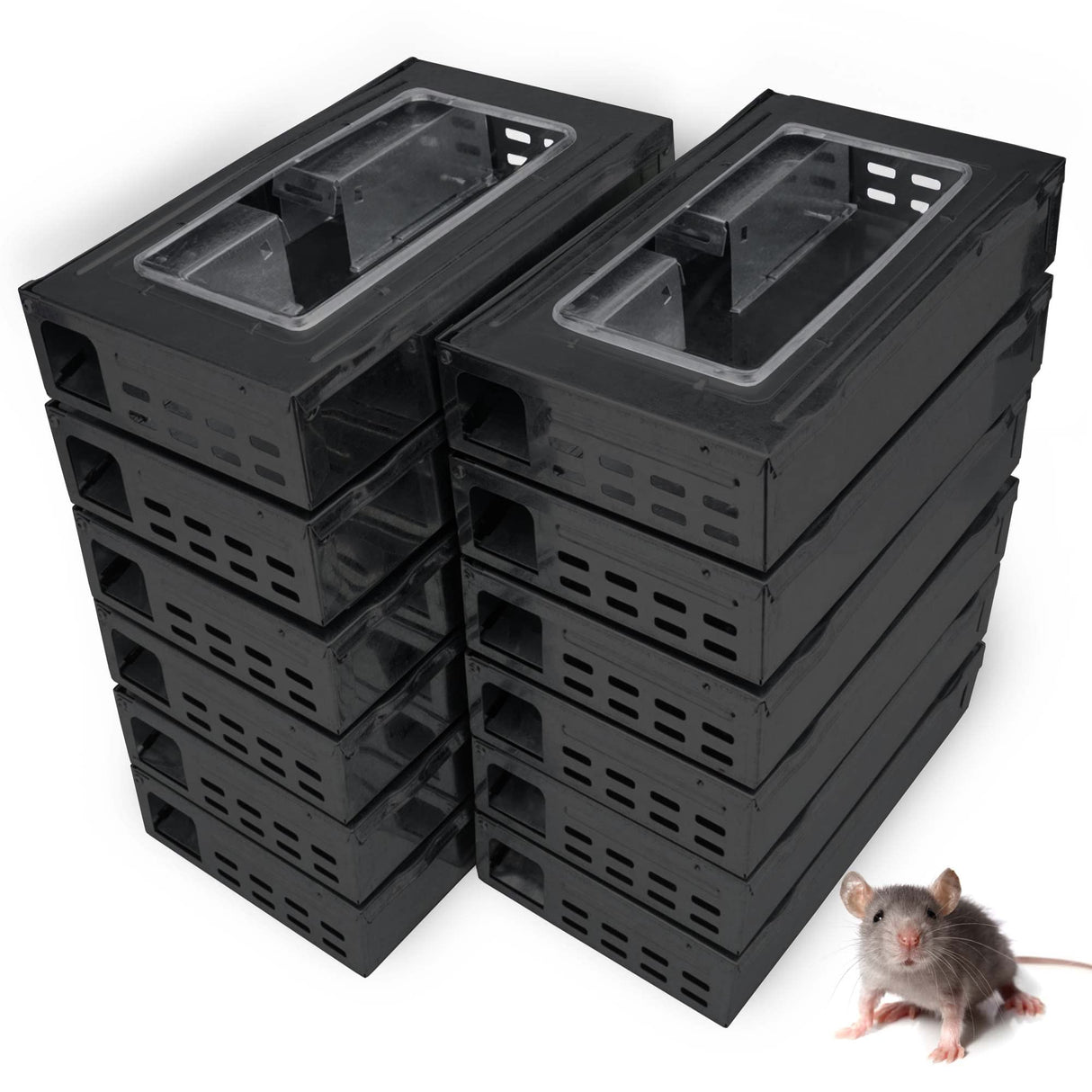 Tin Cat Multi-Catch and Release Humane Live Mouse Trap with Clear Window Lid for Indoor Outdoor Use | Sold by Canadian Supplier Local Pest Control (Black, 12 Pack)