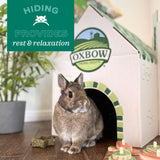 Oxbow Timothy Hay Bungalow, Rabbit & Guinea Pig Hideout, Edible & Hand-Woven Bunny House, No Wires or String, Small Pet Accessories, for Rabbits, Guinea Pigs, Chinchillas & Rats, Medium